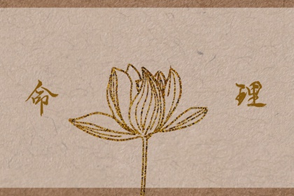 择吉老皇历,老皇历,皇历